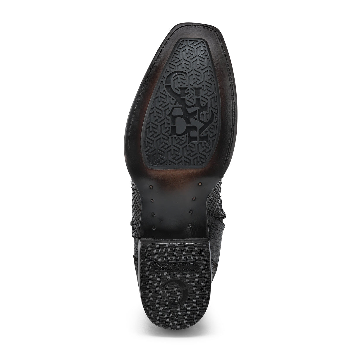 CHOCOLATE PYTHON ZIPPER & STUDS CC214