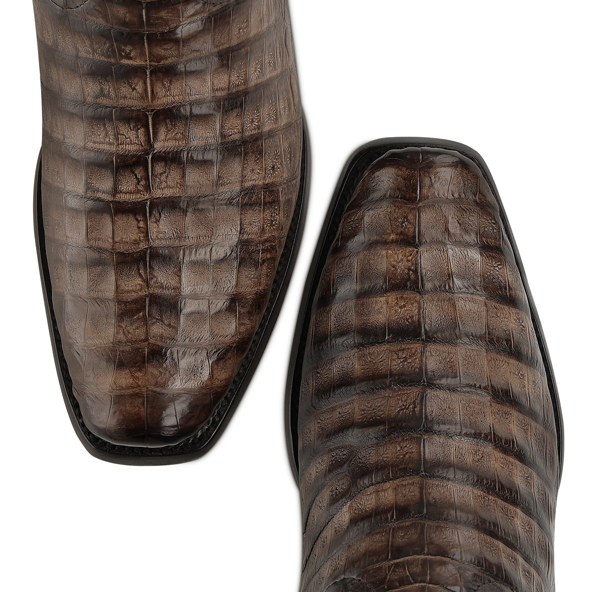 Cuadra Honey Caiman Fuscus Boot CC292