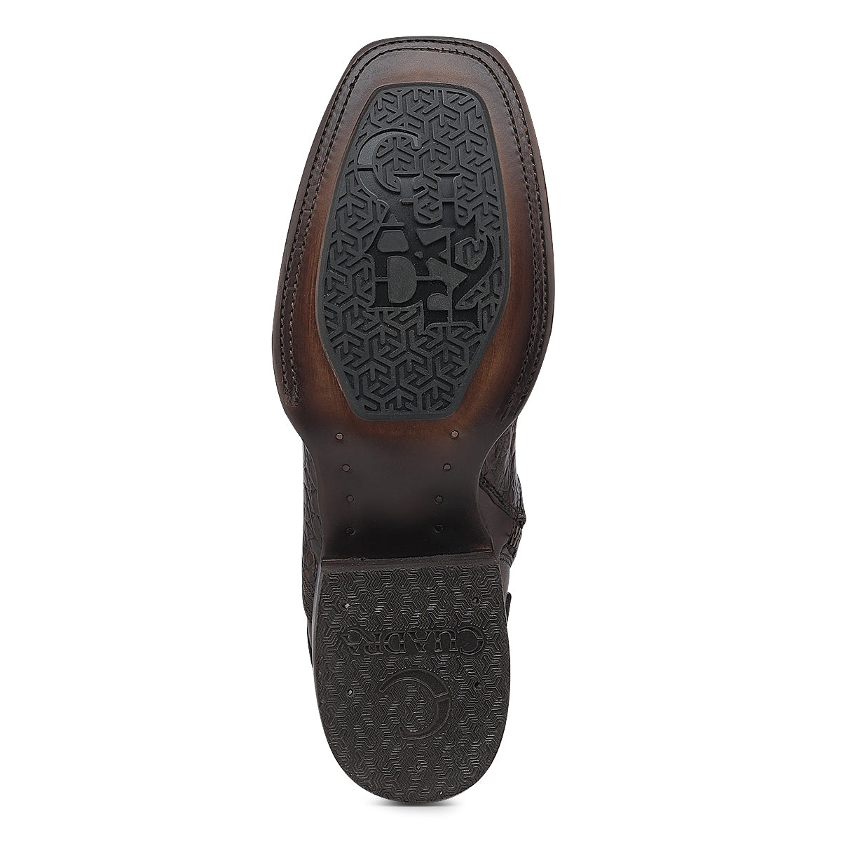 Honey Caiman Zipper & Elastic