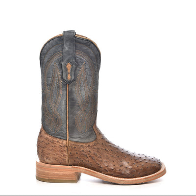 Orix / Navy Blue Ostrish