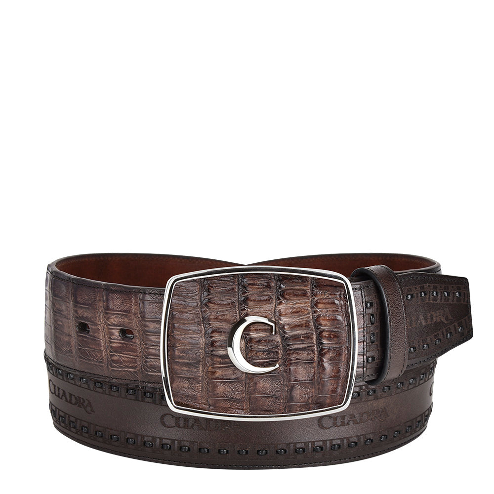ARAUCO CHOCOLATE CAIMAN