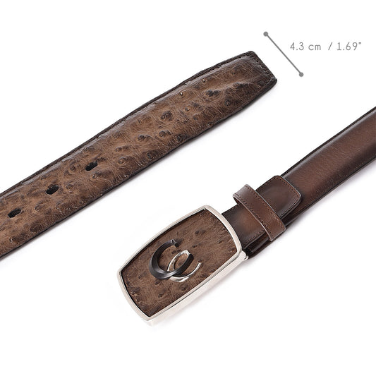 Brown Ostrich Exotic Strip Belt