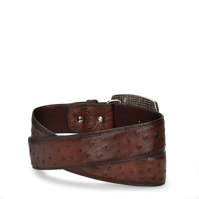 Moroni Chestnut Ostrich Belt