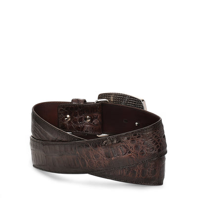 ARAUCO CHOCOLATE CAIMAN