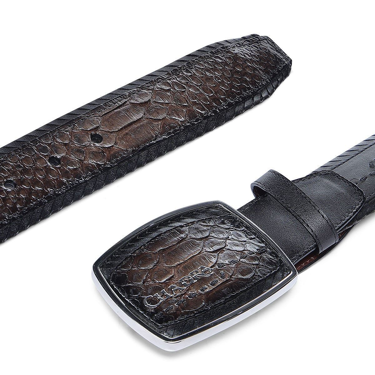 Cuadra Chocolate Python Laser BC402