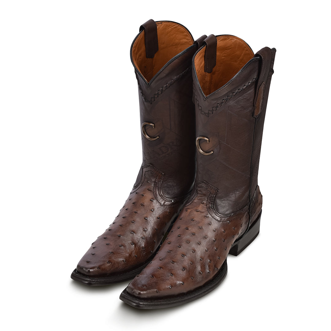 Arauco Chocolate Ostrich Laser & Woven Narrow Square Toe