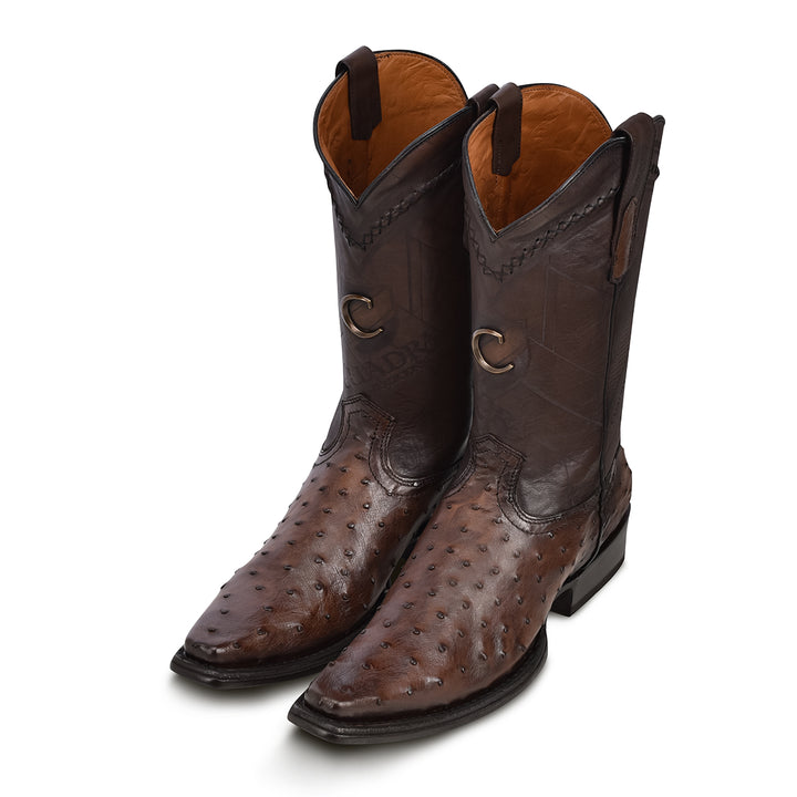 Arauco Chocolate Ostrich Laser & Woven Narrow Square Toe