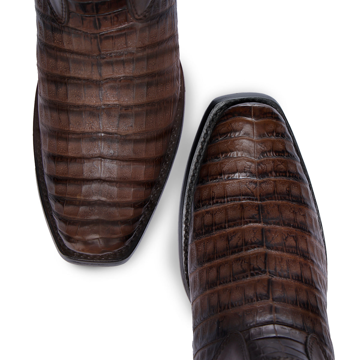 Honey Caiman Laser