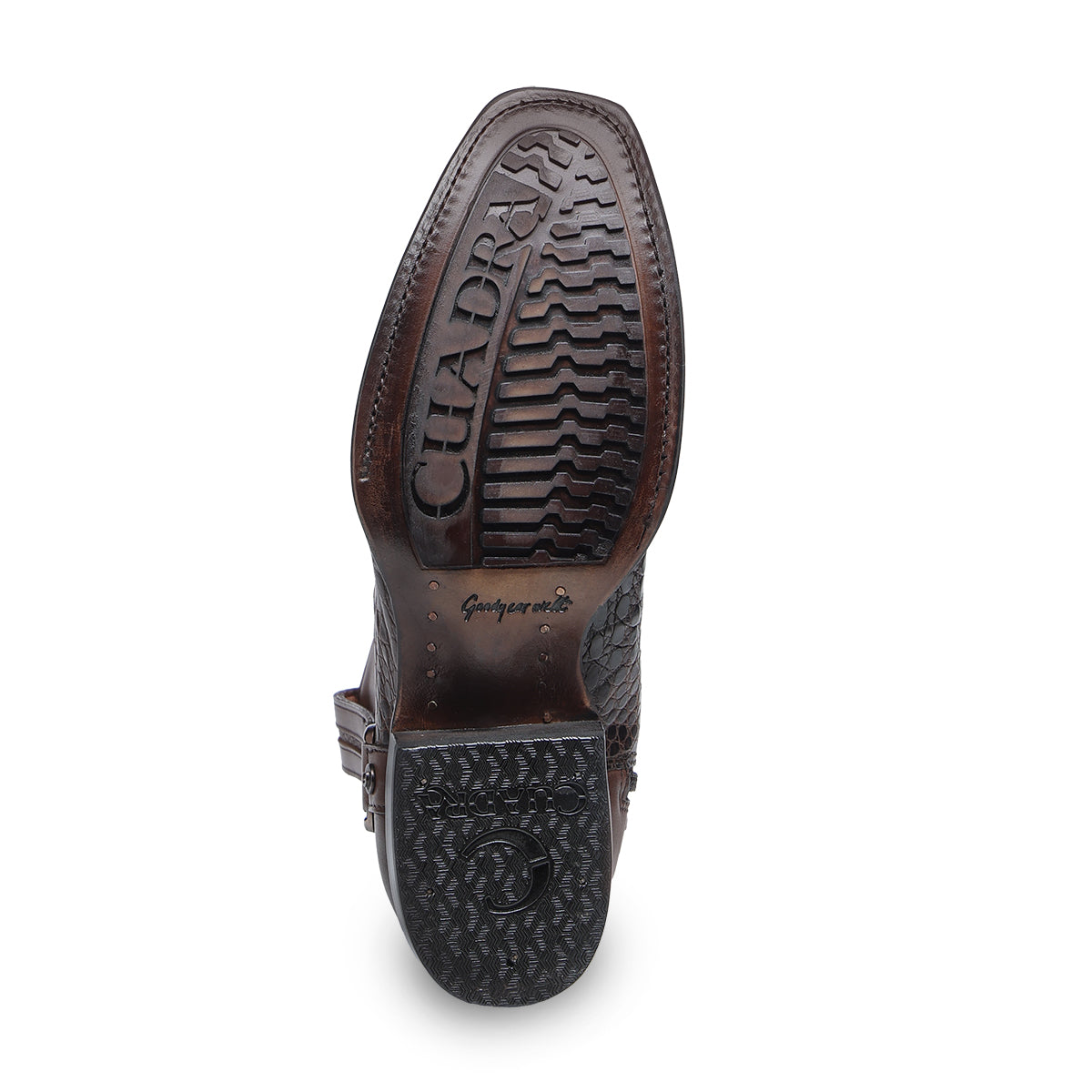Honey Caiman Laser