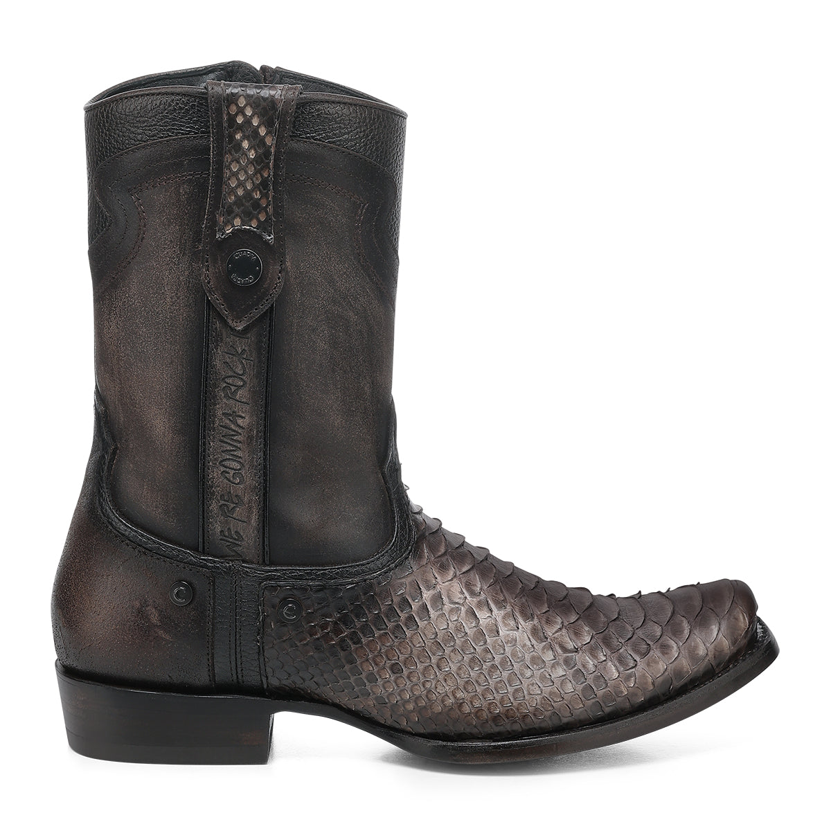 CHOCOLATE PYTHON ZIPPER & STUDS CC214