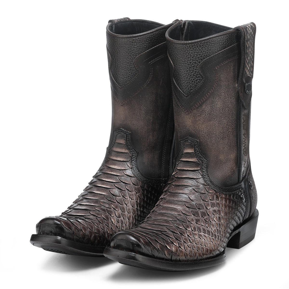 CHOCOLATE PYTHON ZIPPER & STUDS CC214