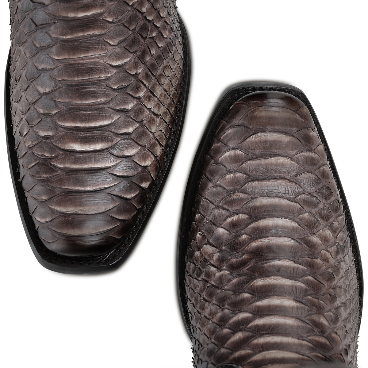 CHOCOLATE PYTHON ZIPPER & STUDS CC214