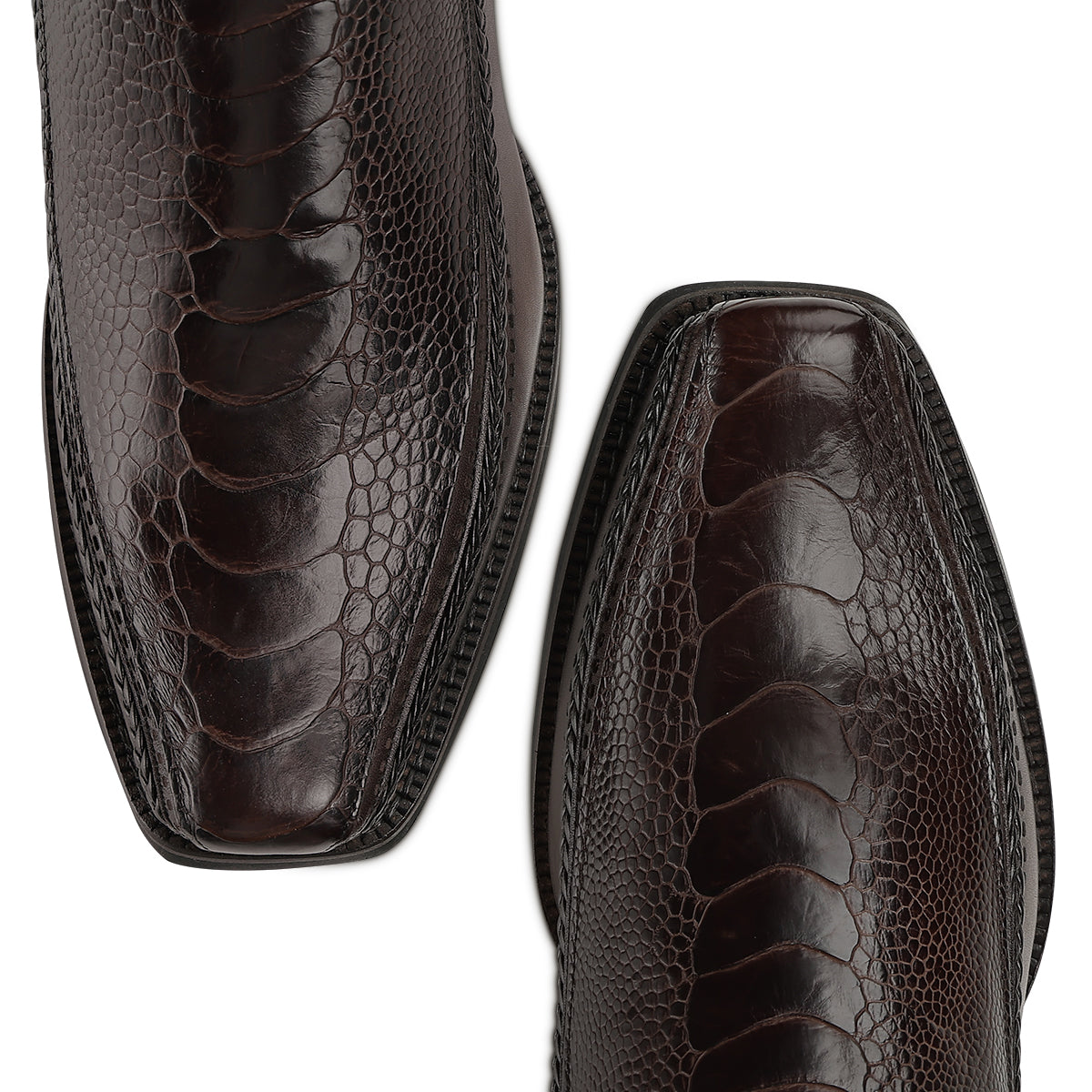 Cuadra Brown Ostrich Leg Laser & Zipper CC346