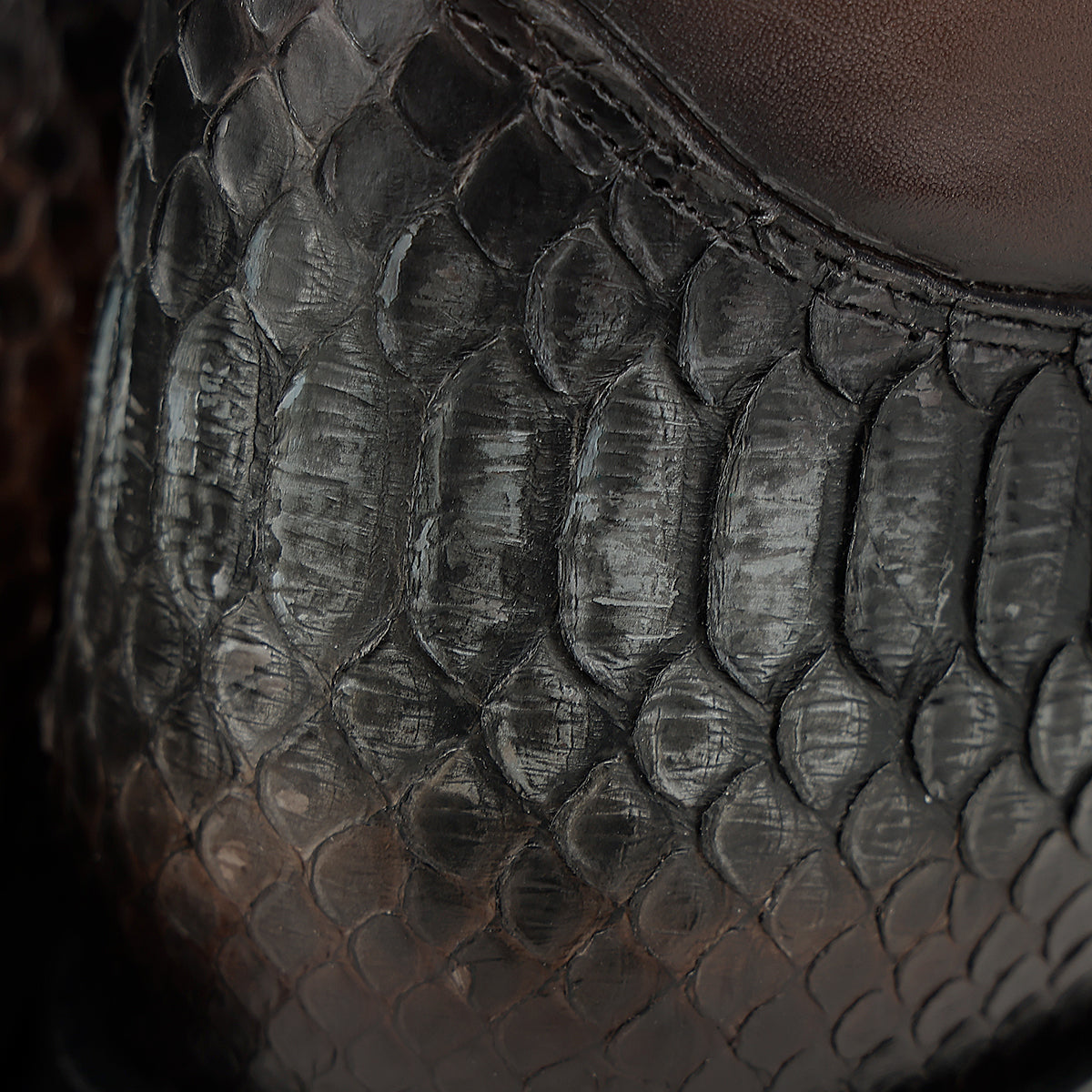 Cuadra Python Laser & Zipper Honey CC2986