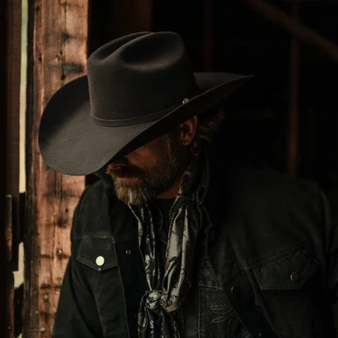 Stetson The Golden Eagle 100x + Case