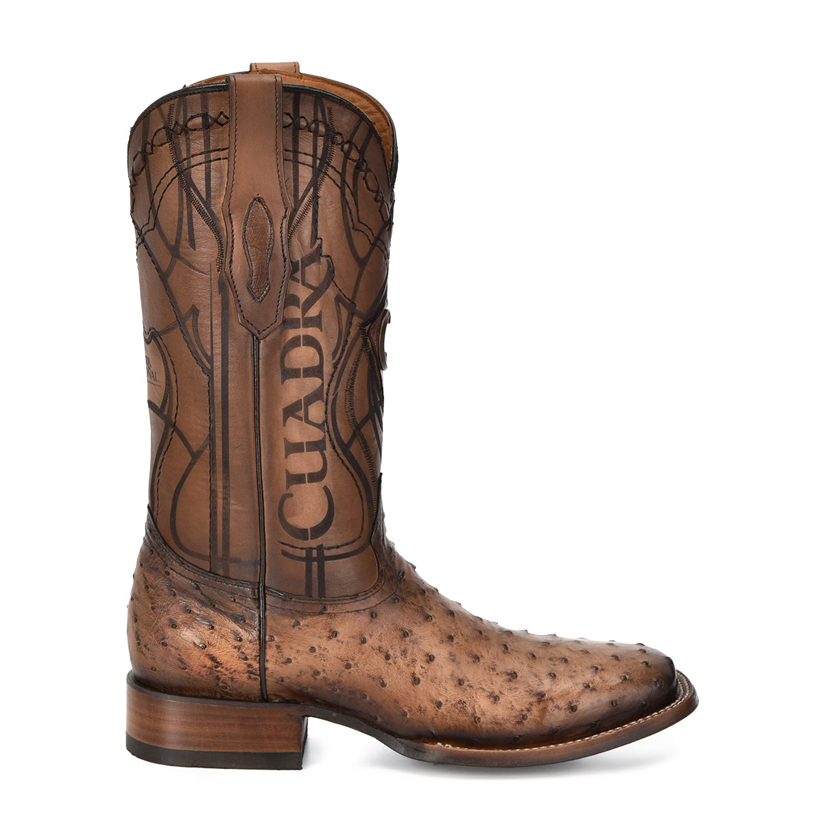 OSTRICH EMBROIDERY & LASER & WOVEN CU744