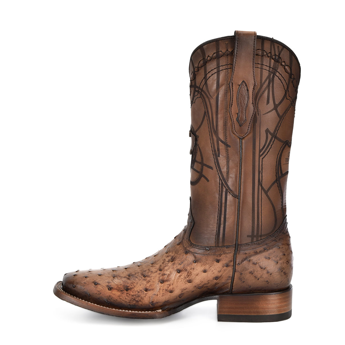 OSTRICH EMBROIDERY & LASER & WOVEN CU744