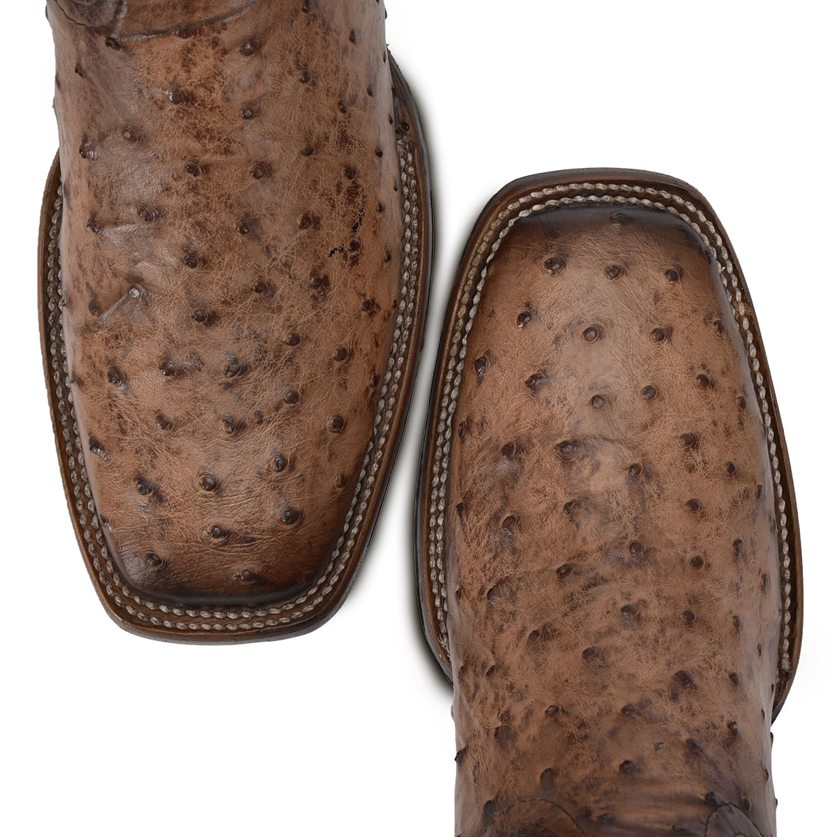 OSTRICH EMBROIDERY & LASER & WOVEN CU744
