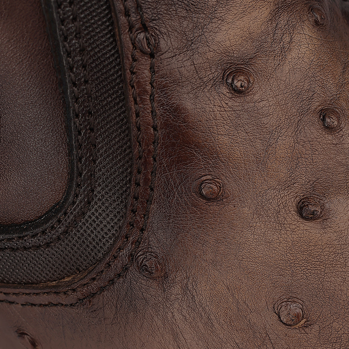 Brown Ostrich Zipper & Elastic Square Toe