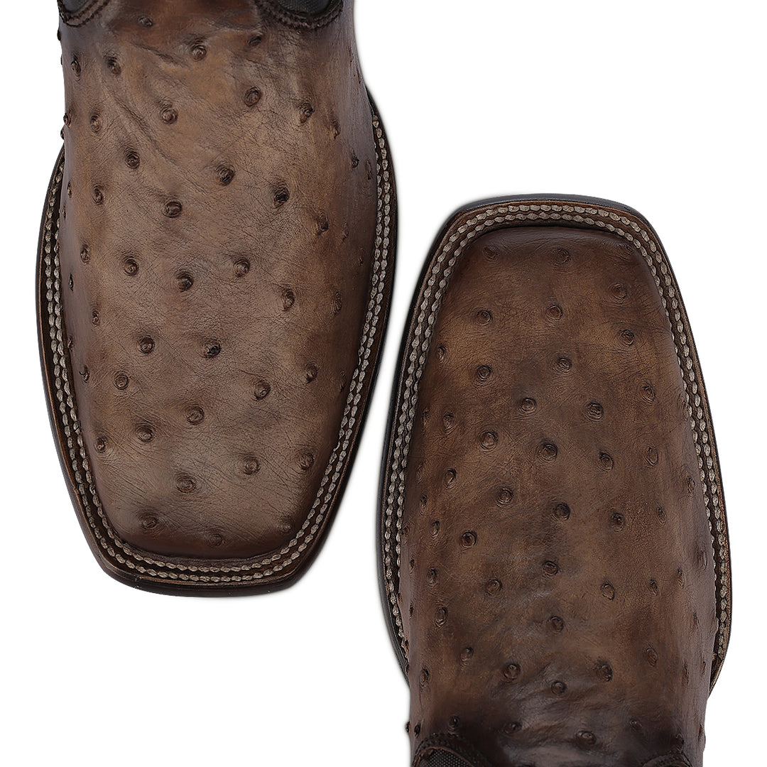 Brown Ostrich Zipper & Elastic Square Toe