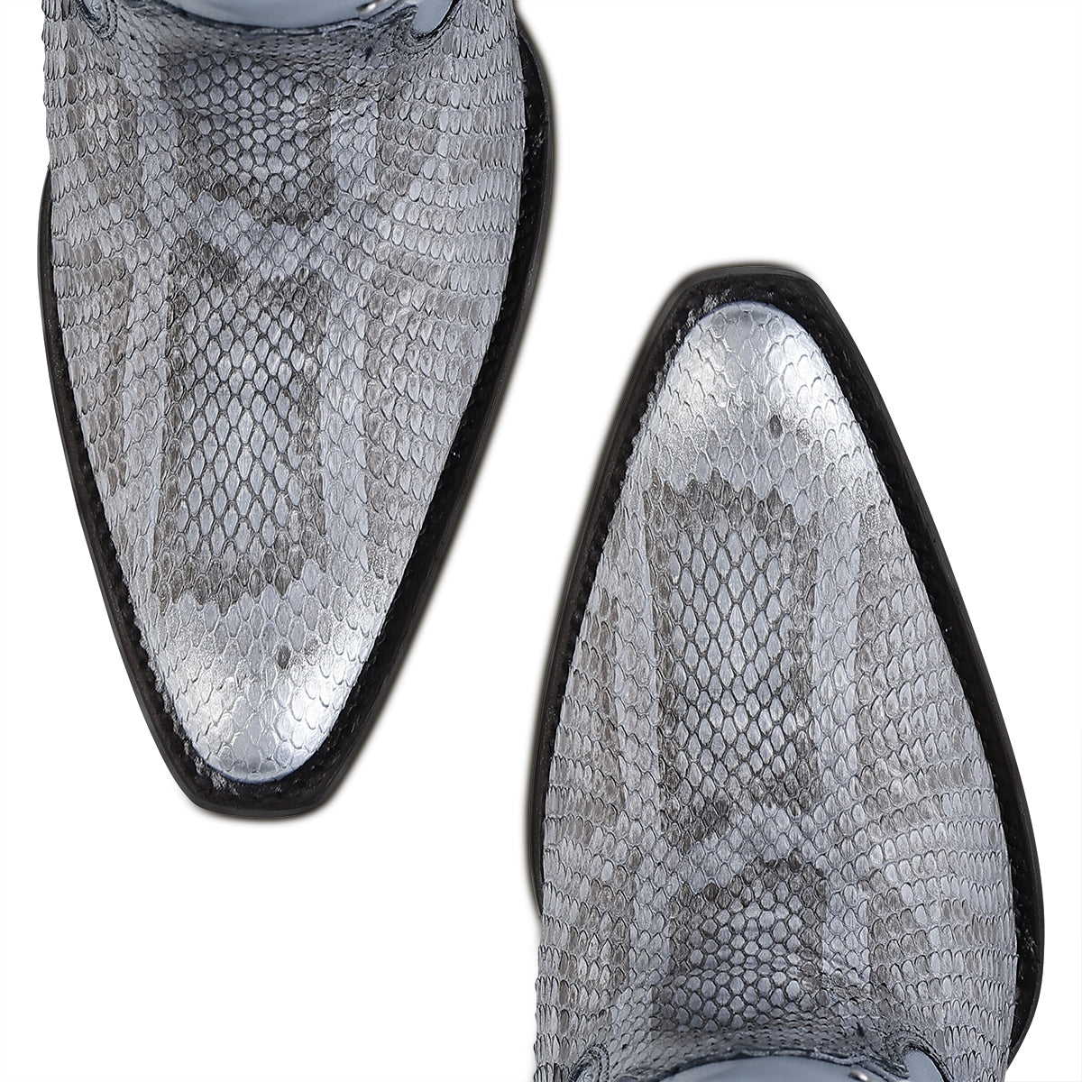 GREY & BLUE PYTHON M ZIPPER CC259