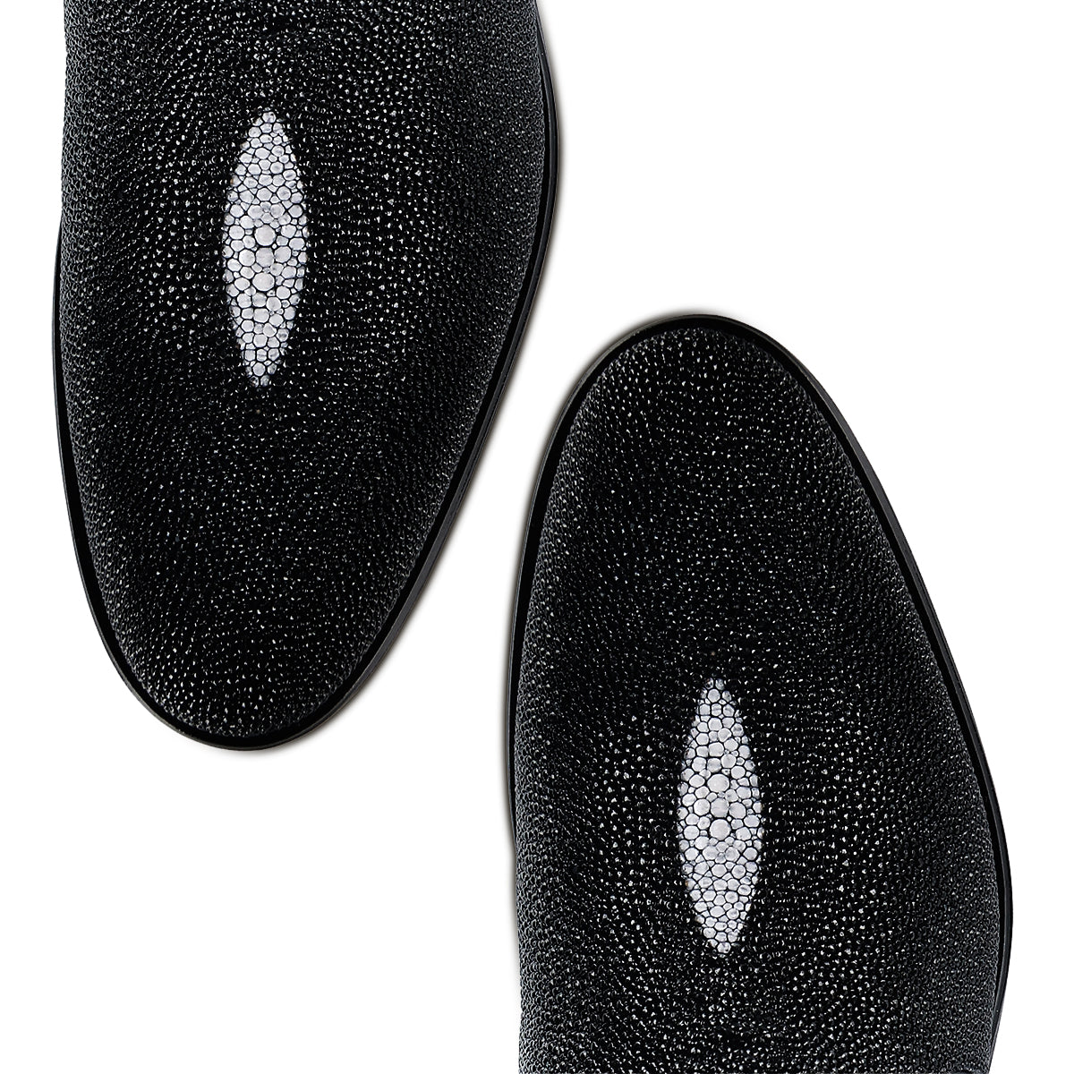 Cuadra Black Stingray FF277