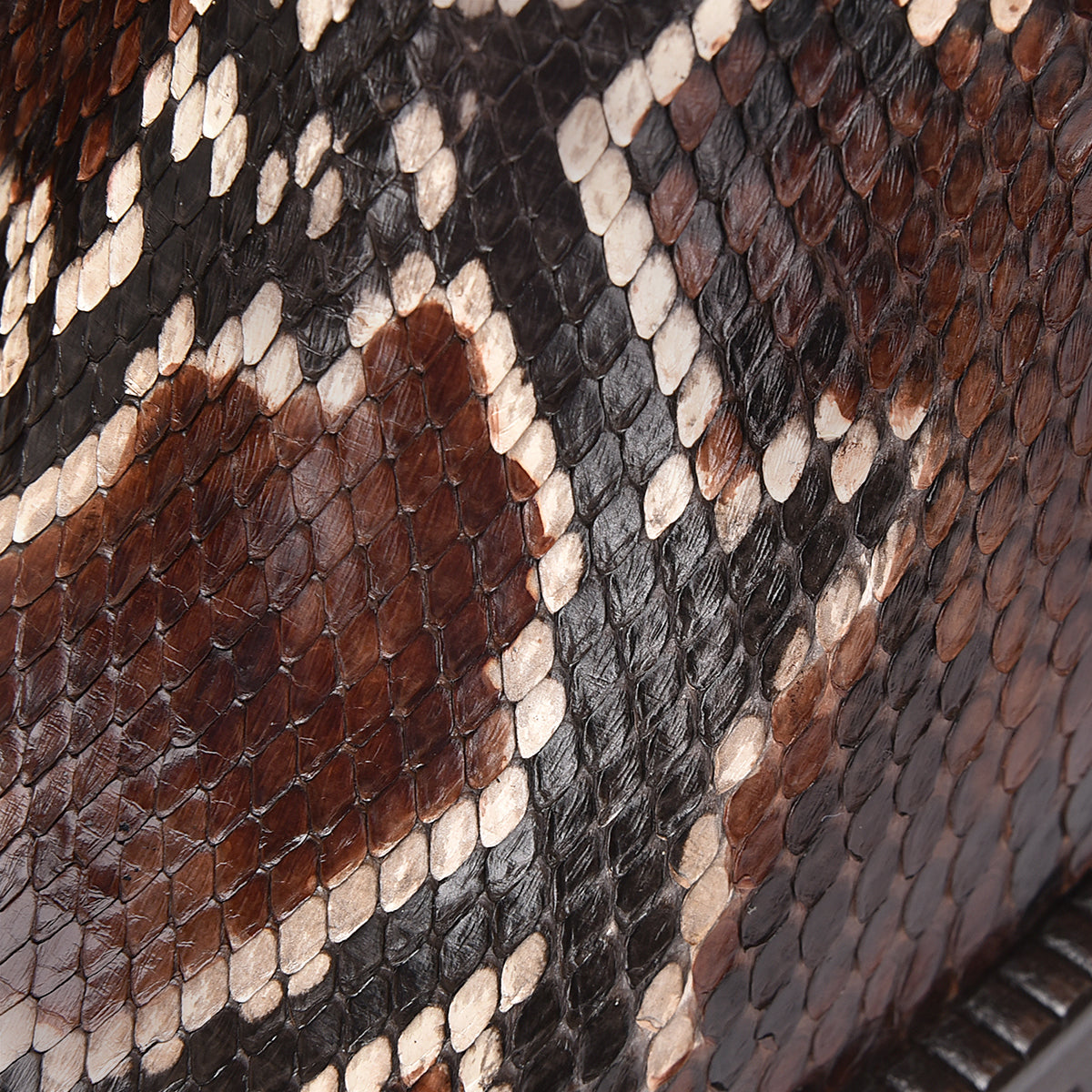 Brown Python ZIpper Round Toe