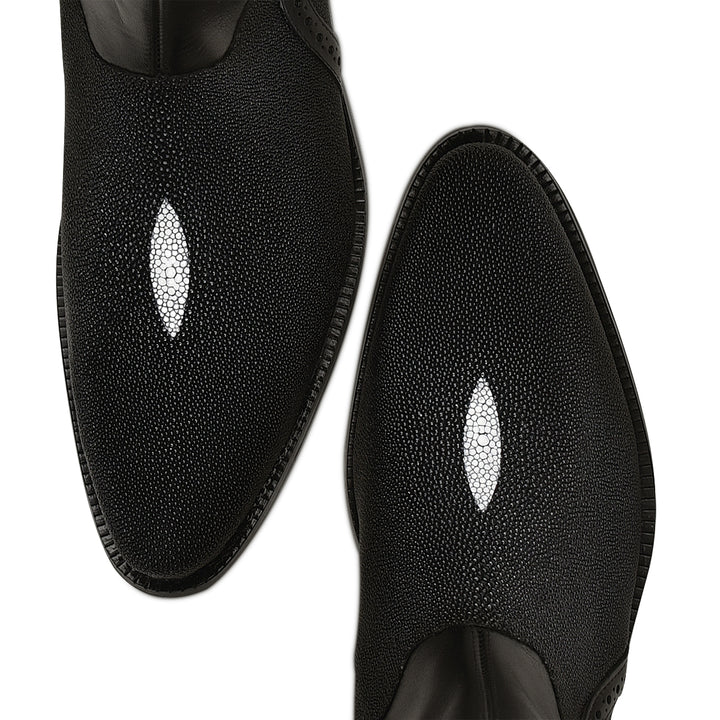 BLACK STINGRAY FC658