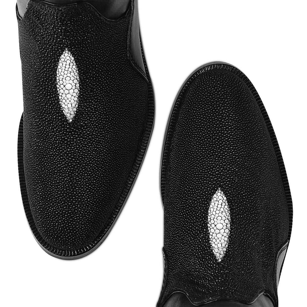 BLACK STINGRAY FC637