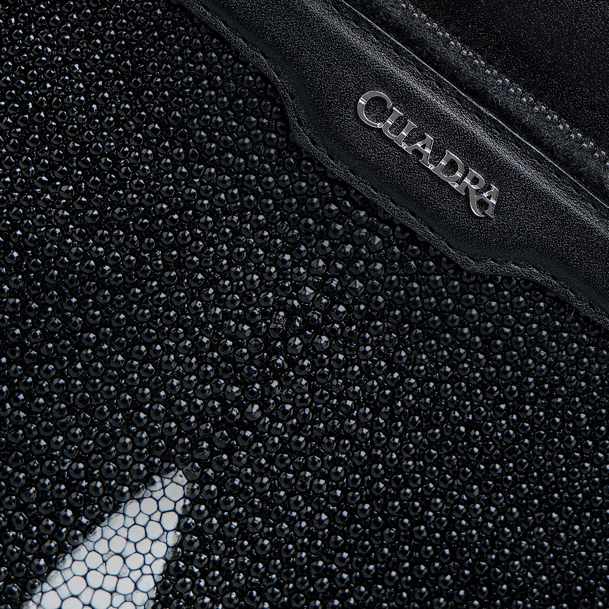 Cuadra Stingray Zipper Black Bag DU759