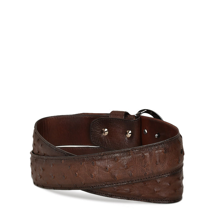 Cuadra Brown Ostrich Belt BC272