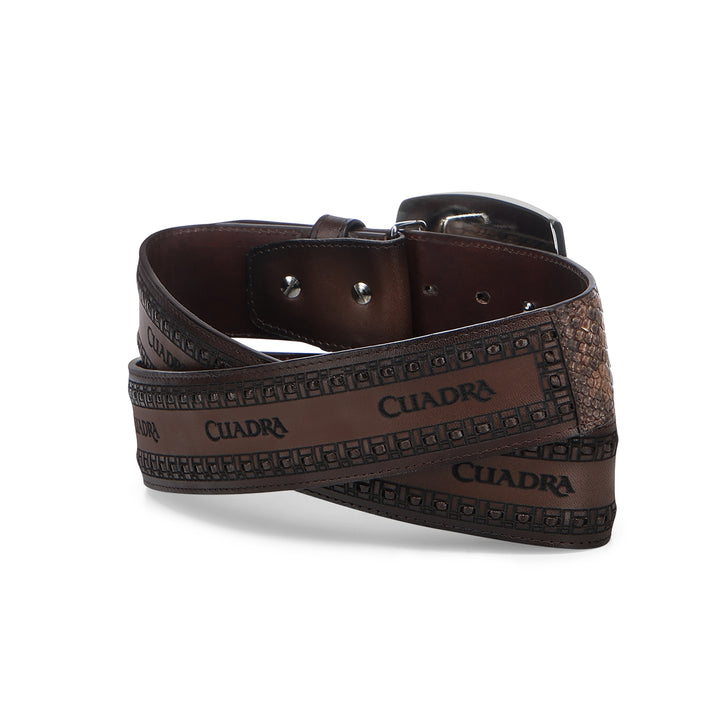 CINTO PITON BACK PAJA PULIDO BC430