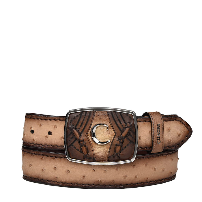 Cuadra Flame Orix Ostrich Laser Belt BC354