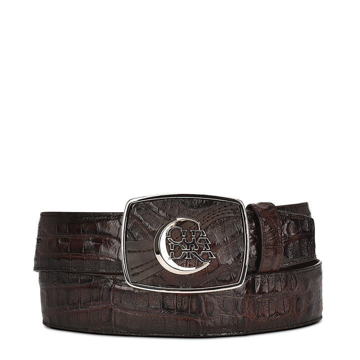 ARAUCO CHOCOLATE CAIMAN