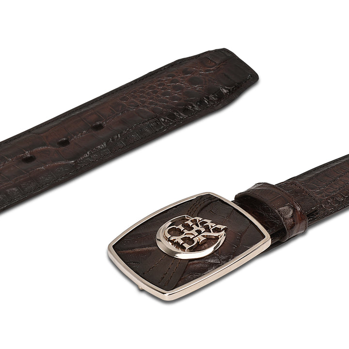 ARAUCO CHOCOLATE CAIMAN