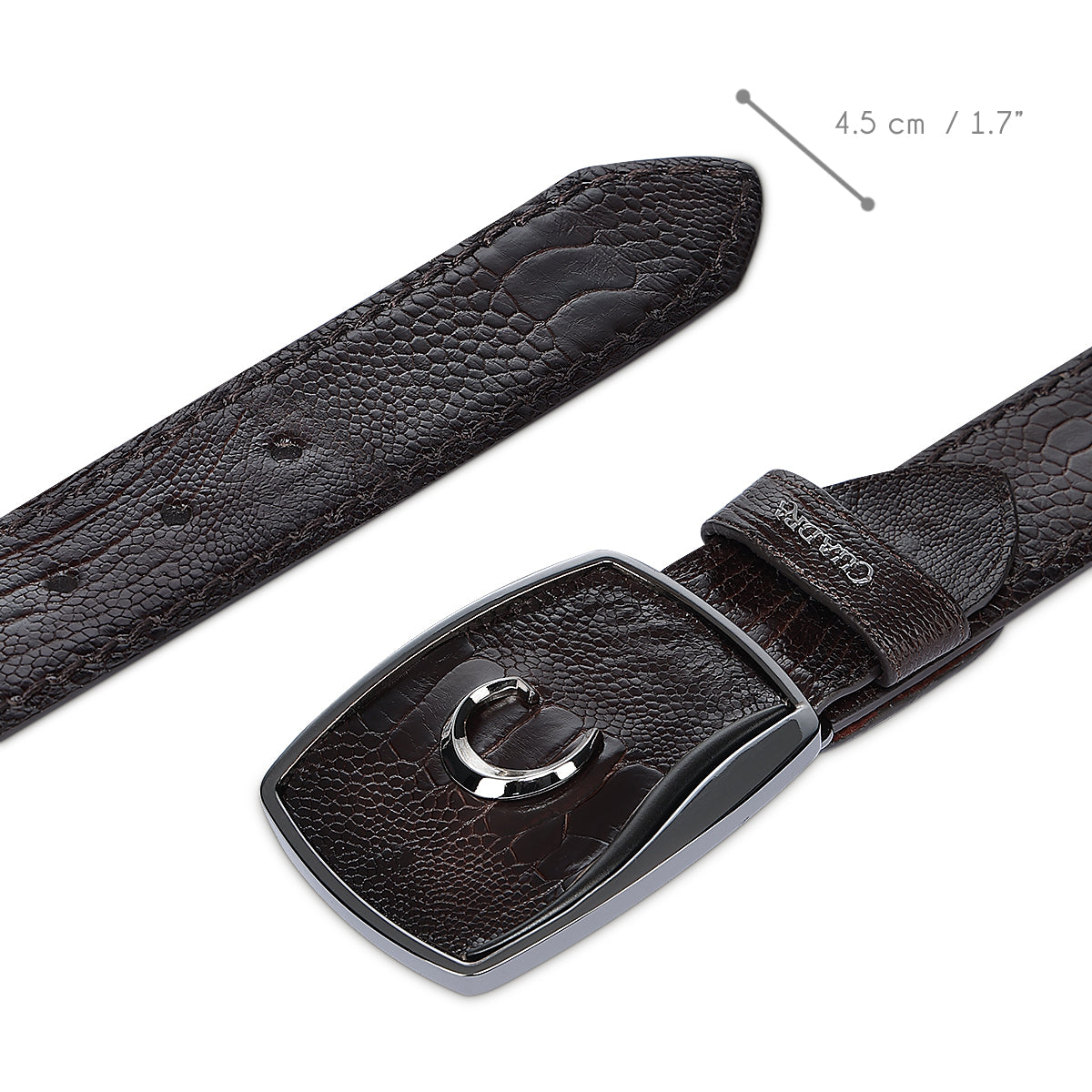 Cuadra Chocolate Ostrich Leg Stic BC439